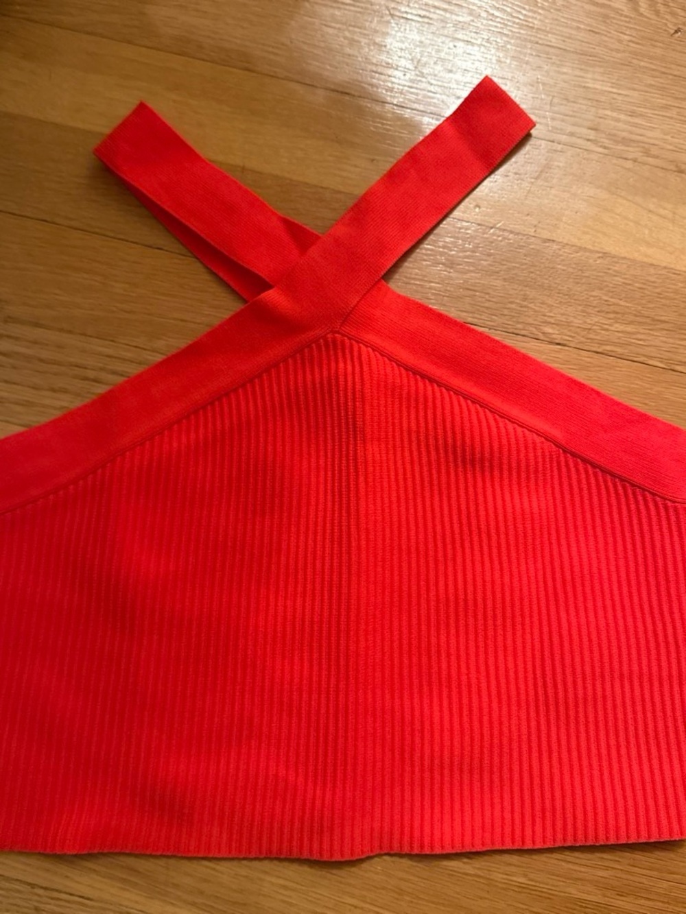 Sincerely Jules Red Ribbed Crop Tank